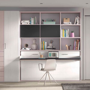 Cama abatible horizontal con librería